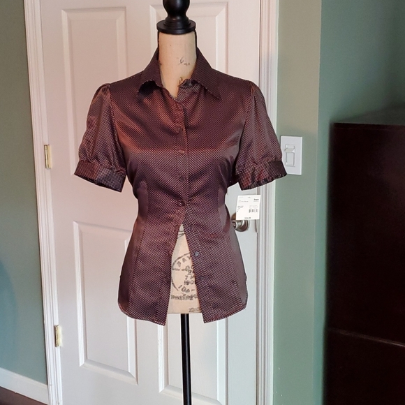 Covington Brown Polka-dot Blouse - Picture 1 of 8